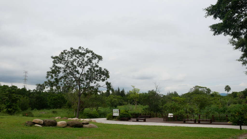 P1010689