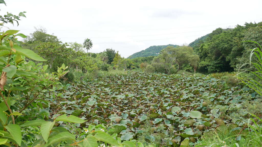 P1010693