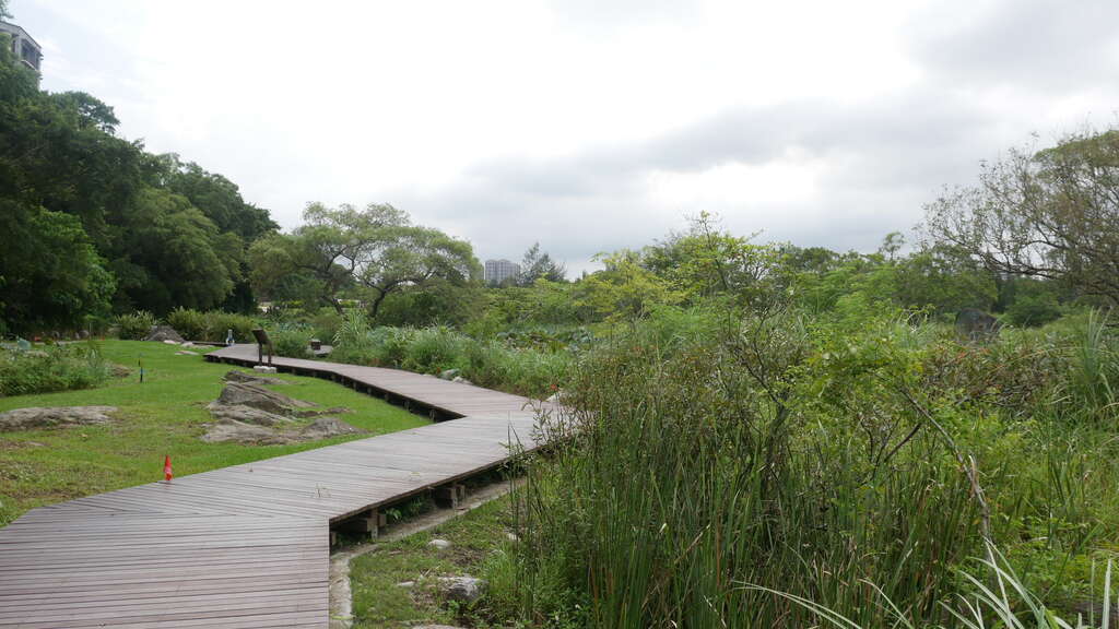 P1010722