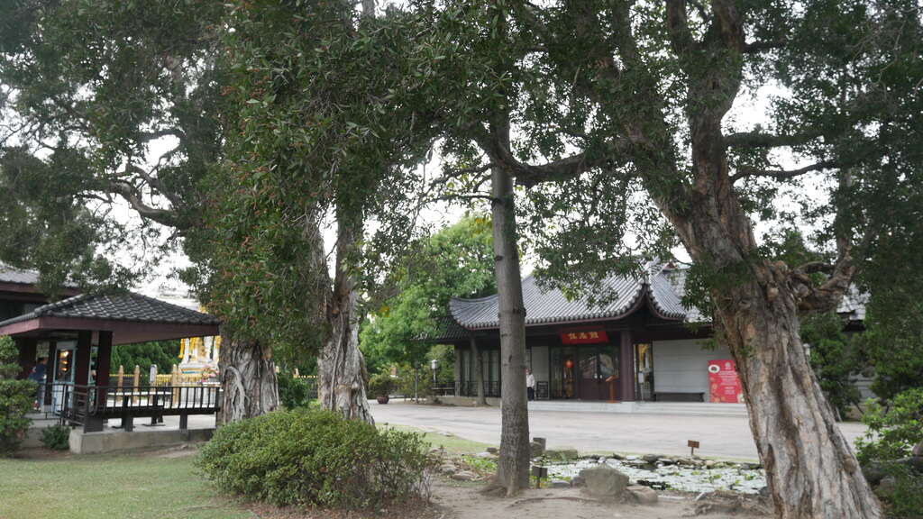 P1020245