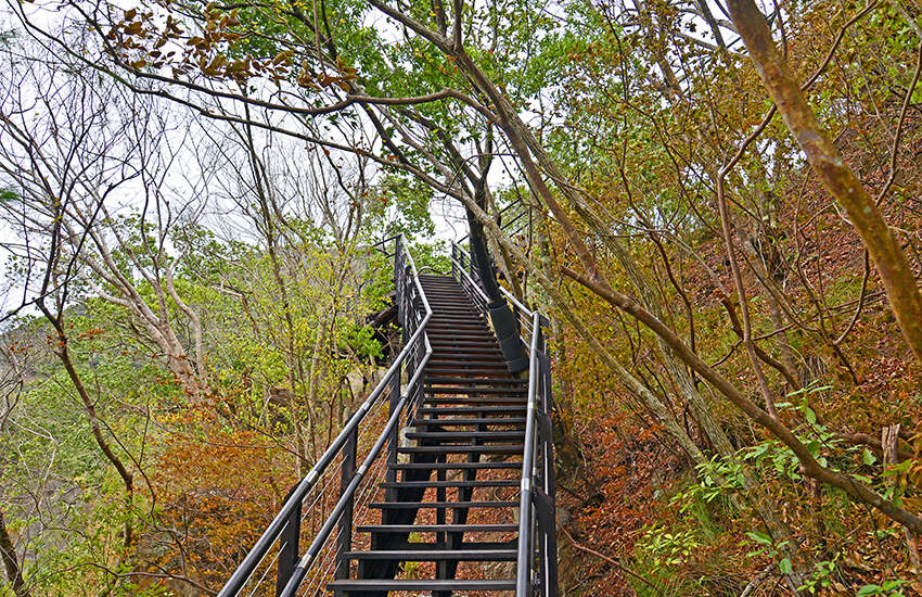 DSC_1146