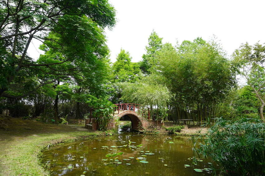 6-DSC08795