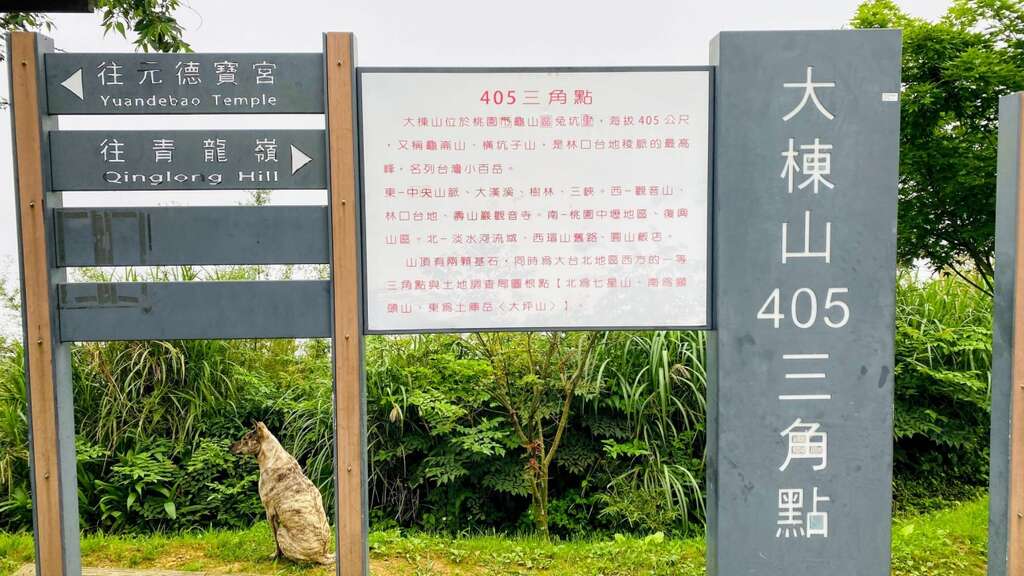 圖10