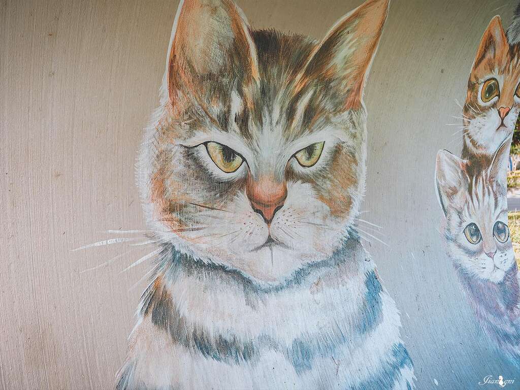 23