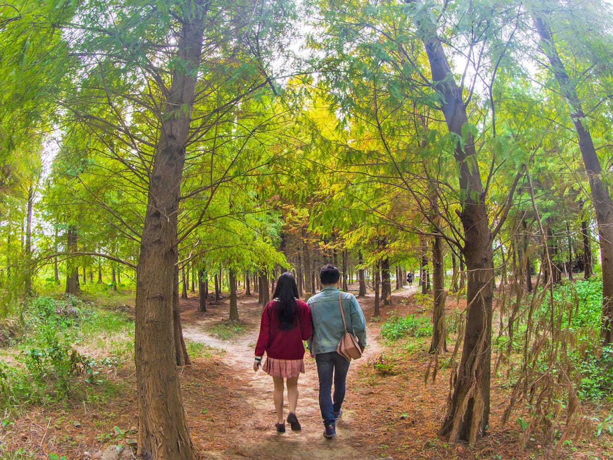 Musim pariwisata terbaik di Taoyuan