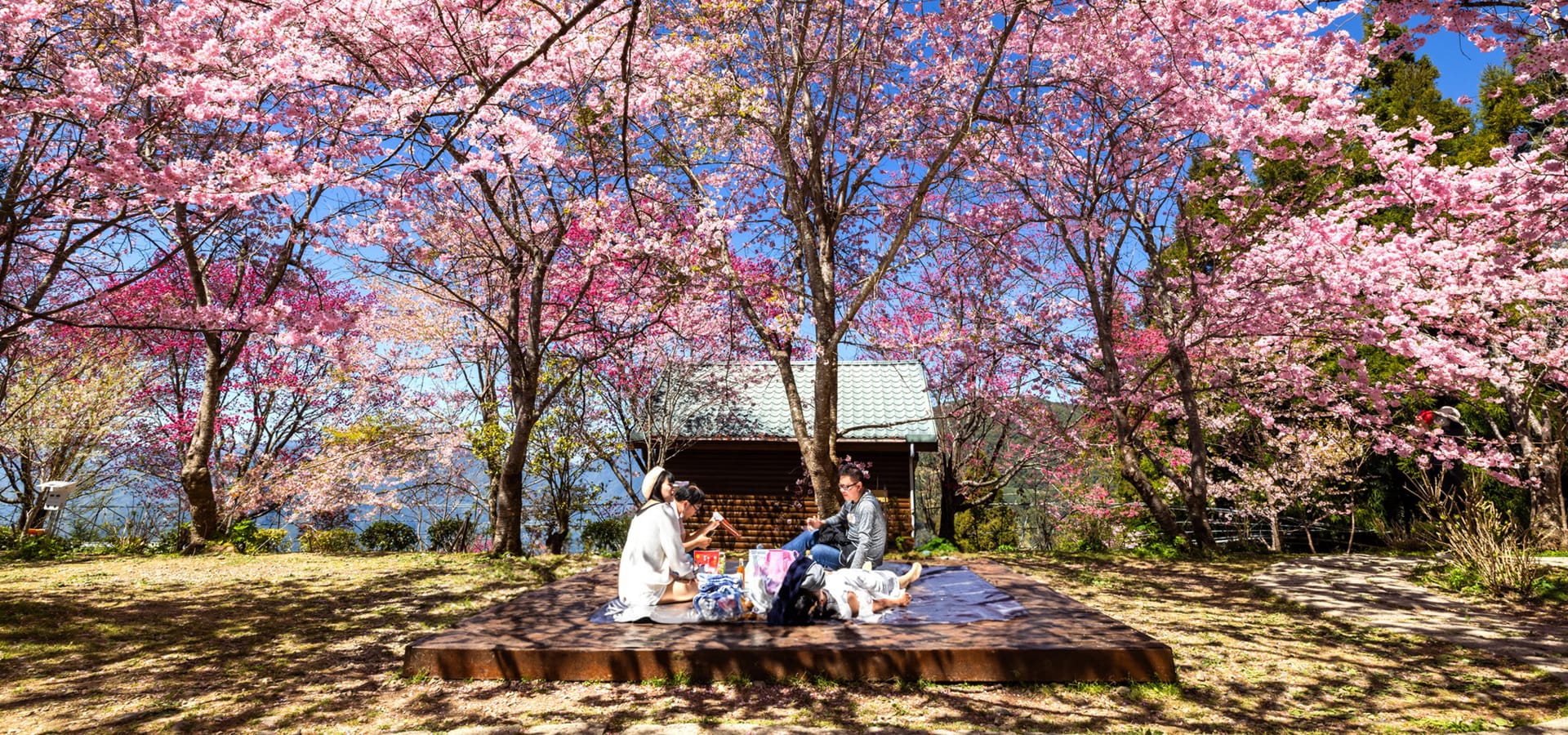 線上遊桃園