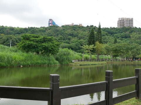 大溪河濱公園-3