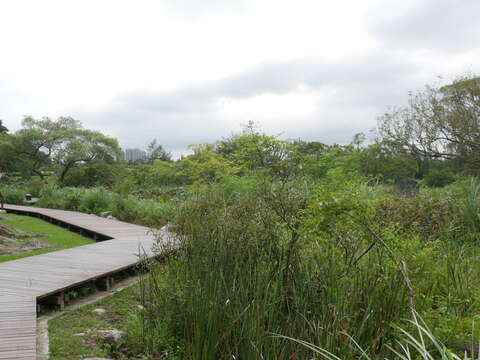 P1010722
