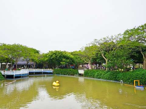 11-DSC08687