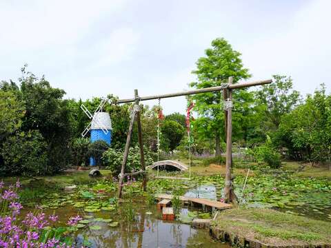 7-DSC08781