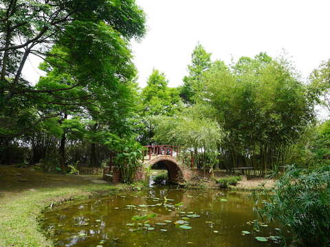 6-DSC08795