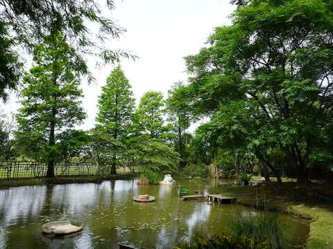 5-DSC08793