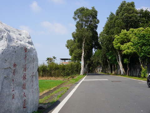 2-DSC07833