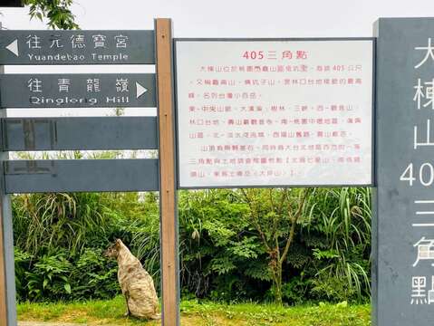 圖10
