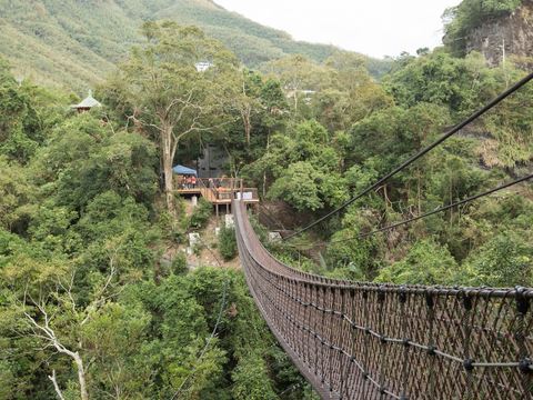 Xiao Wulai Sky Rope Bridge(小烏來天空繩橋)