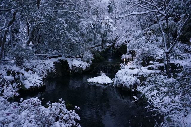 福緣山莊 雪景