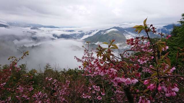 俠雲山莊