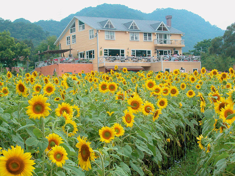 富田花園農場