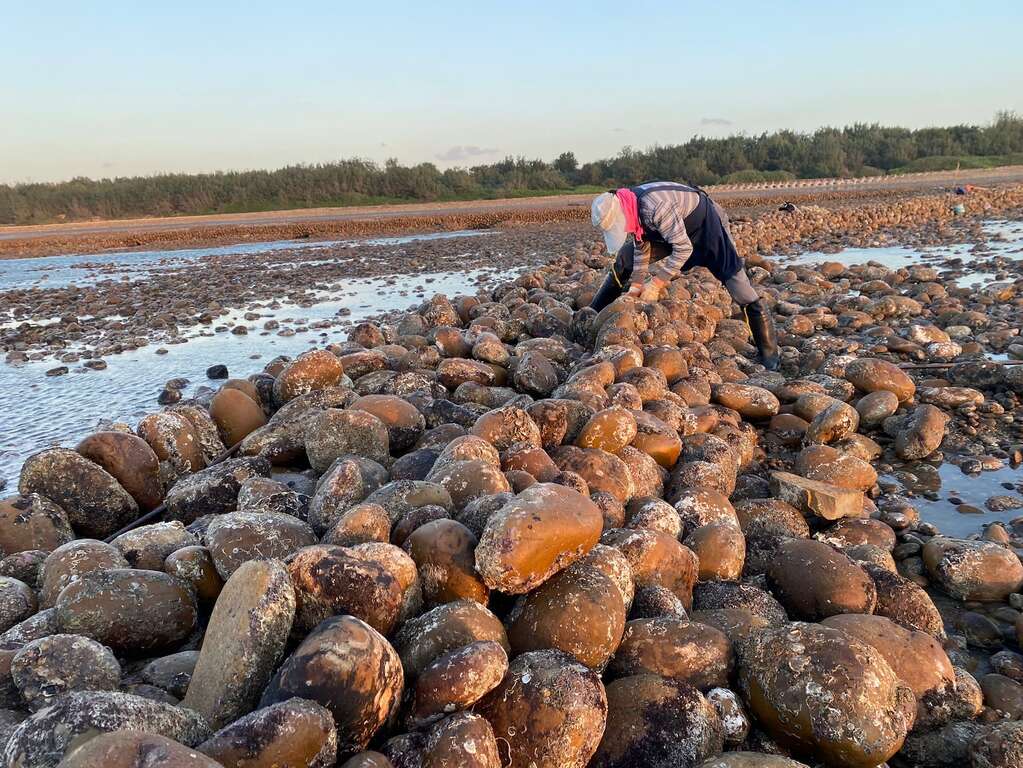 Xinwu: Stone Weir Ocean Hakka Culture Tour